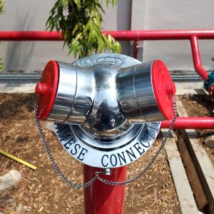 apa itu siamese connection